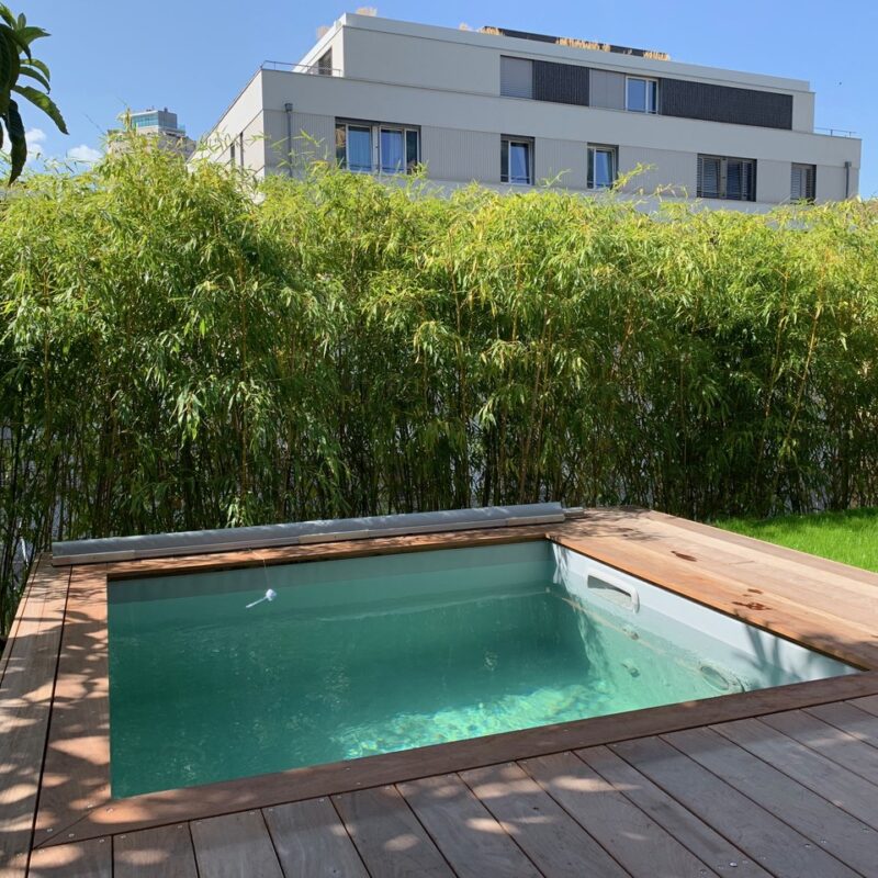 Mini Piscine Pfastatt 11