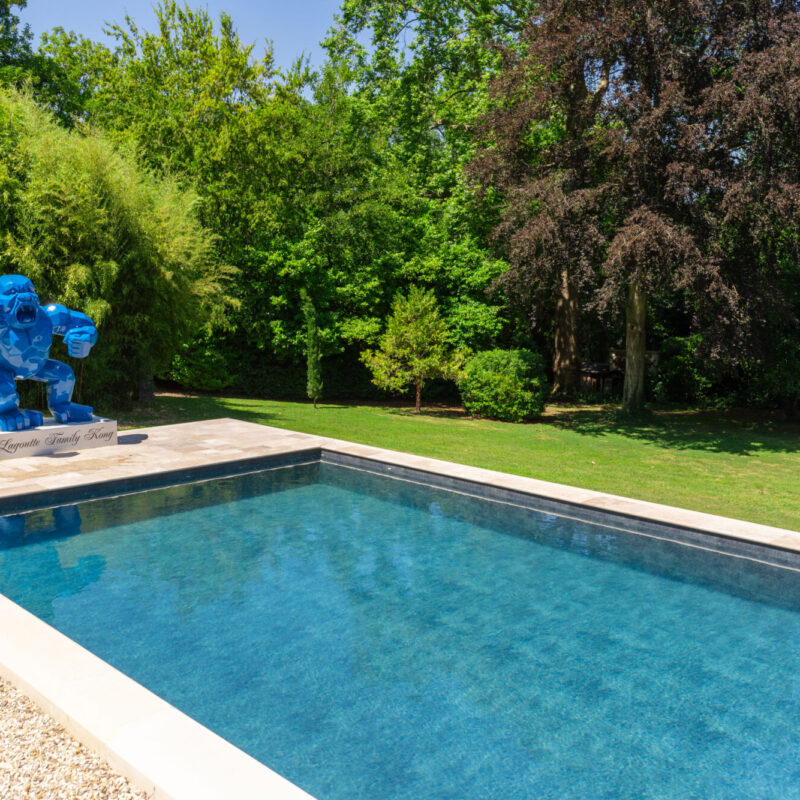 Piscine traditionnelle Mulhouse 41