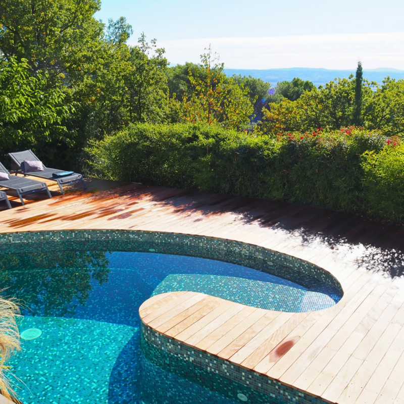 Piscine forme libre Riedisheim 1