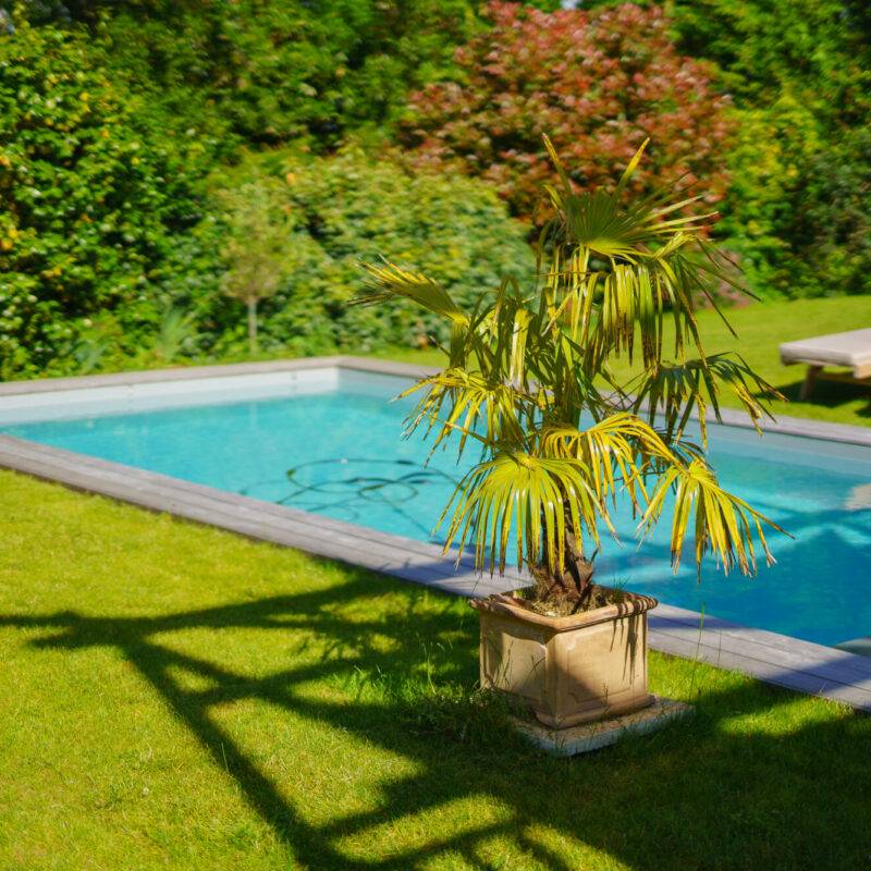 Des piscines adaptées à tous les projets Colmar 4